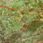 Forest Green Cross cut